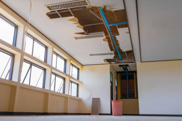 Best Water damage restoration near me  in Holly Springs, GA