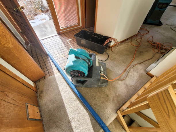 Best Flood damage cleanup  in Holly Springs, GA