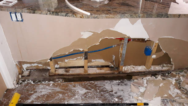 Best Ceiling water damage repair  in Holly Springs, GA