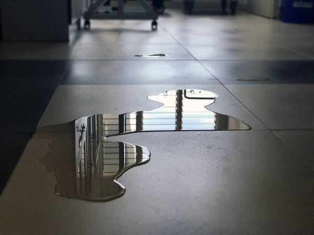 Best Water damage restoration near me  in Holly Springs, GA