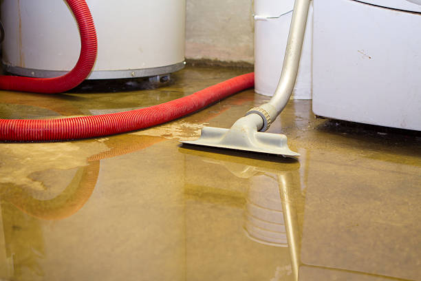 Best Flooded house restoration  in Holly Springs, GA