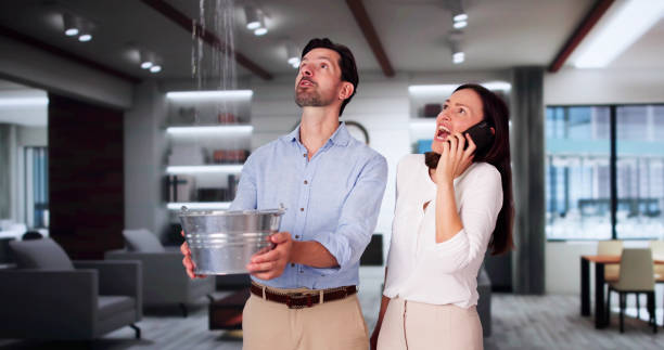 Best Carpet water damage restoration  in Holly Springs, GA