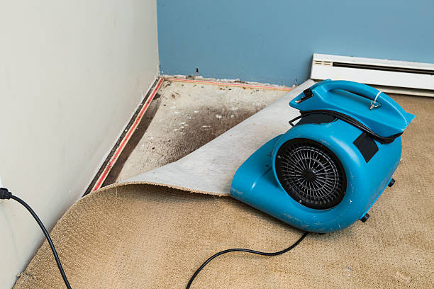 Best Water damage restoration process  in Holly Springs, GA